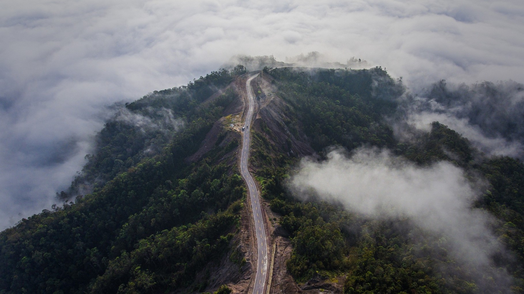 Deforestasi papua