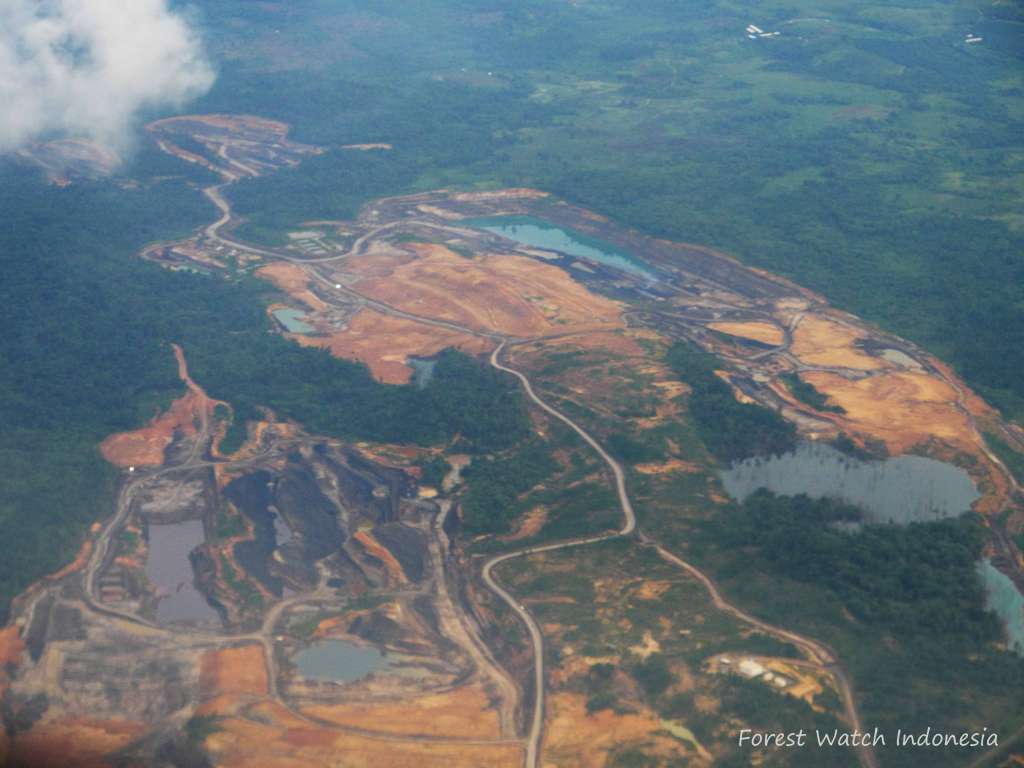 Potret kondisi hutan di Kalimantan Timur akibat eksploitasi oleh Tambang