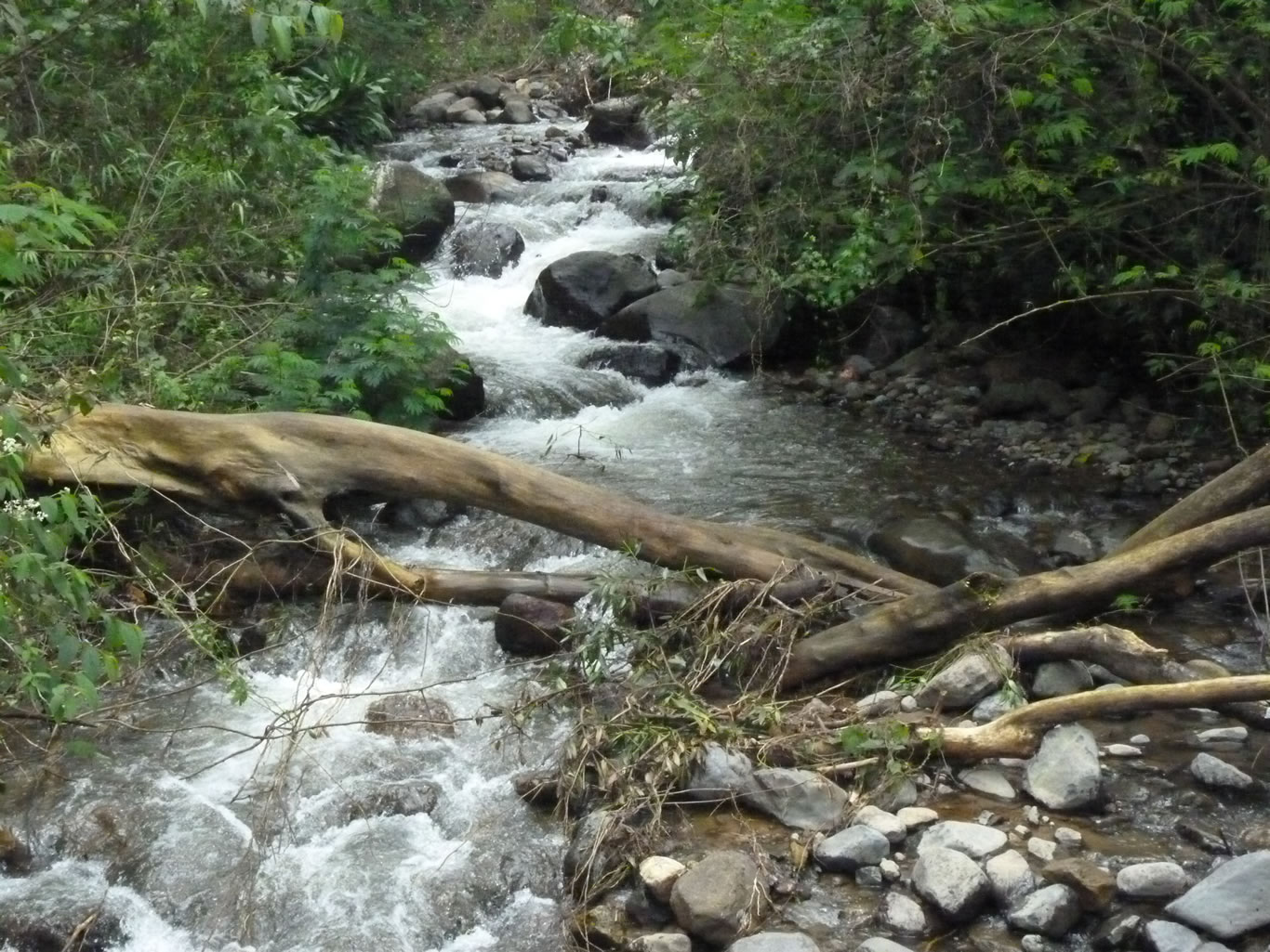 Potret alamiah Sungai Citamiang-anakan sungai Ciliwung.Masih asri dan terjaga, menjadi penghidupan bagi masyarakat sekitar