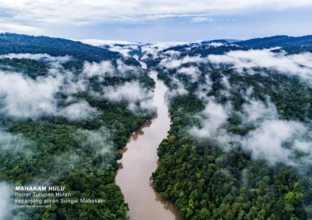 Tata Kelola Hutan_Potret Tutupan Hutan Mahakam Hulu