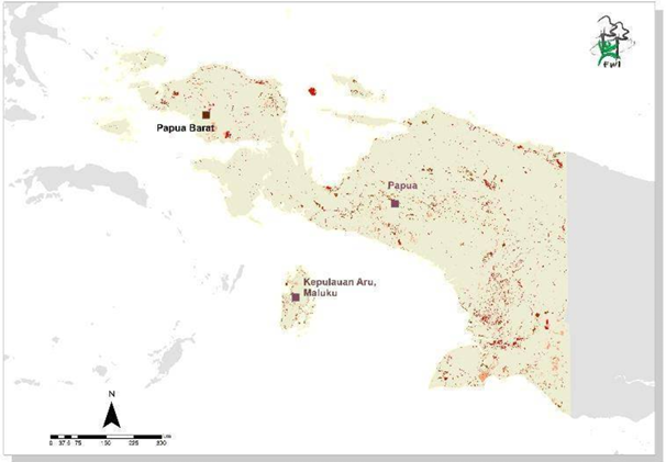 papua forest