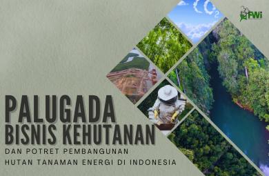 MULTIUSAHA KEHUTANAN DAN POTRET PEMBANGUNAN HUTAN TANAMAN ENERGI DI INDONESIA