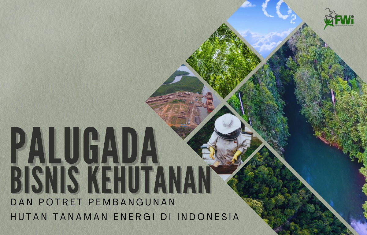 MULTIUSAHA KEHUTANAN DAN POTRET PEMBANGUNAN HUTAN TANAMAN ENERGI DI INDONESIA