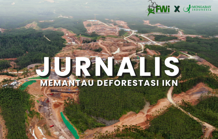 Jurnalis memantau deforestasi ikn