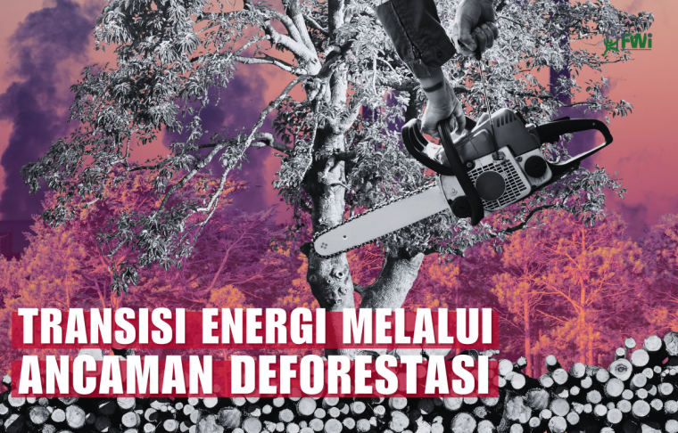 Transisi energi picu deforestasi