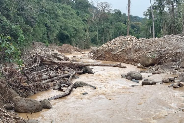 kerusakan hulu sungai karena tambang emas ilegal