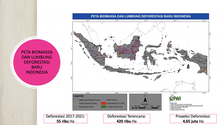 Peta biomassa dan lumbung deforestasi hutan di indonesia