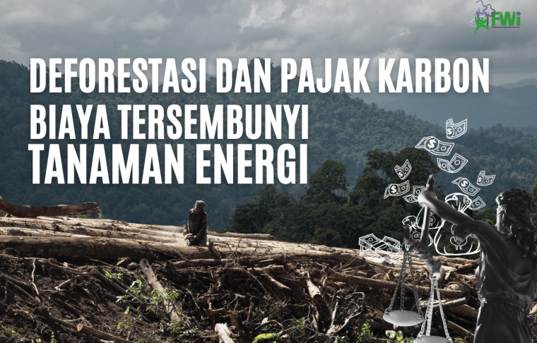 tanaman energi