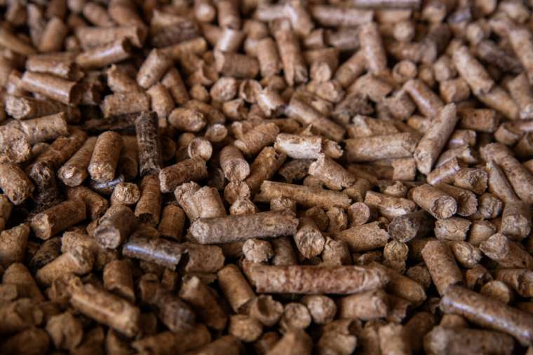wood pellet biomassa