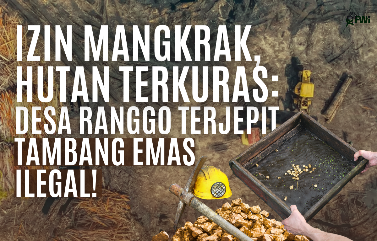 tanaman energi