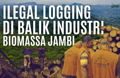 kayu ilegal logging