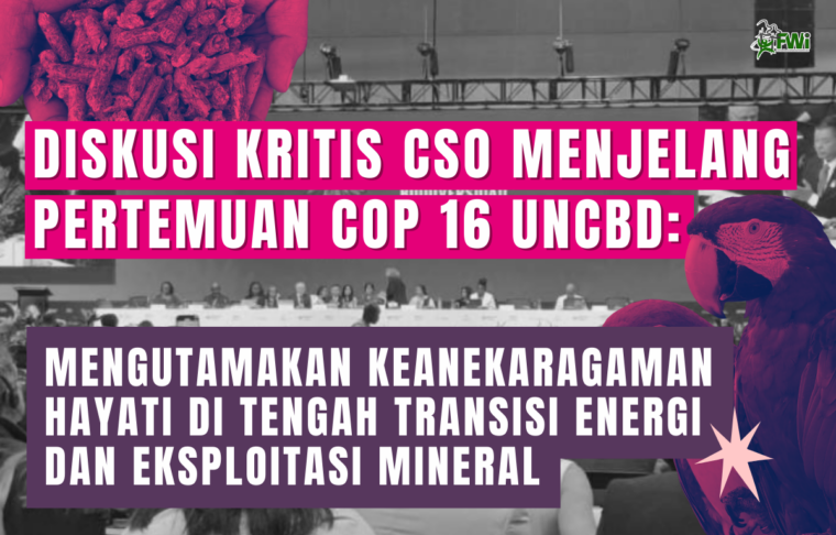 COP 16