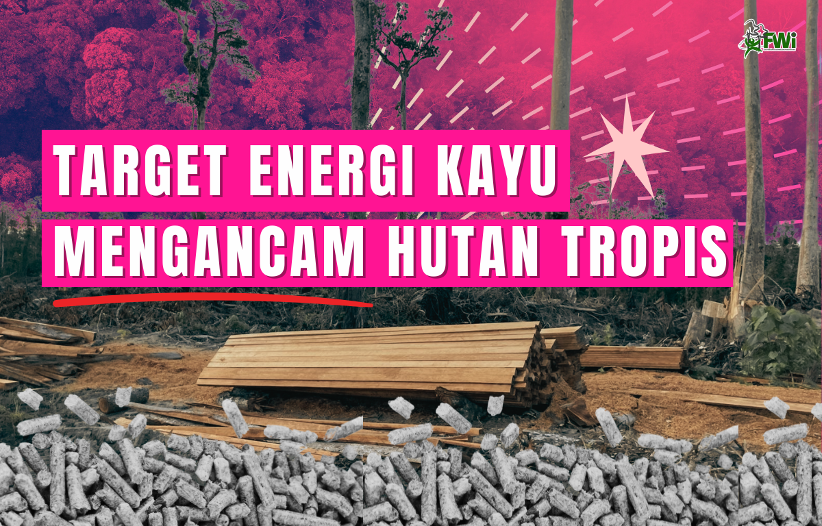 Hutan
