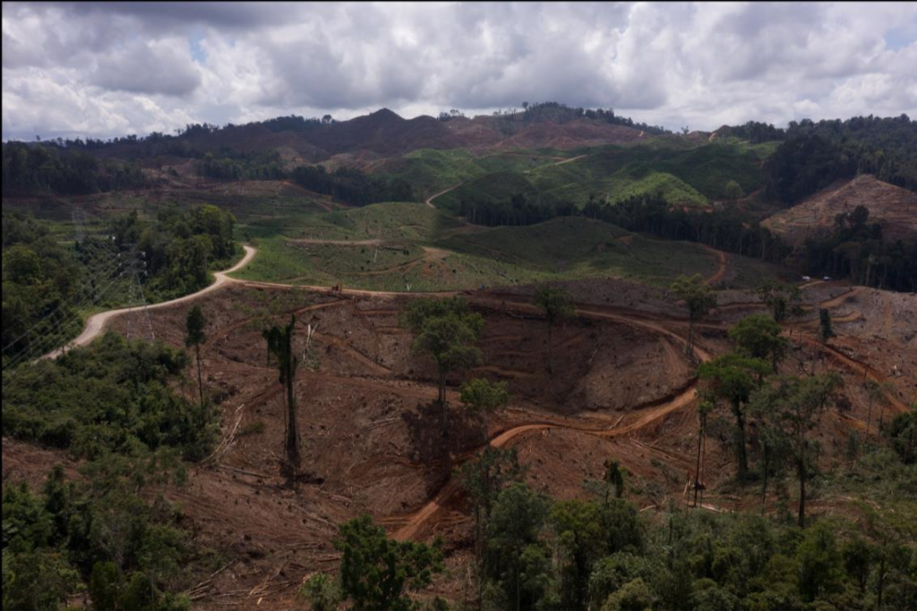 kerusakan akibat pembukaan lahan untuk kebun energi