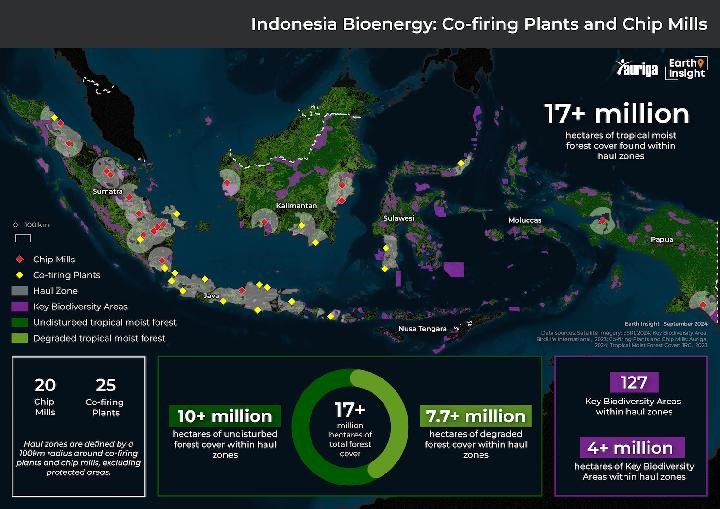 Indonesia Bioenergy: Co-firing Plants and Chip Mills Source: handout Auriga, Earth Insight