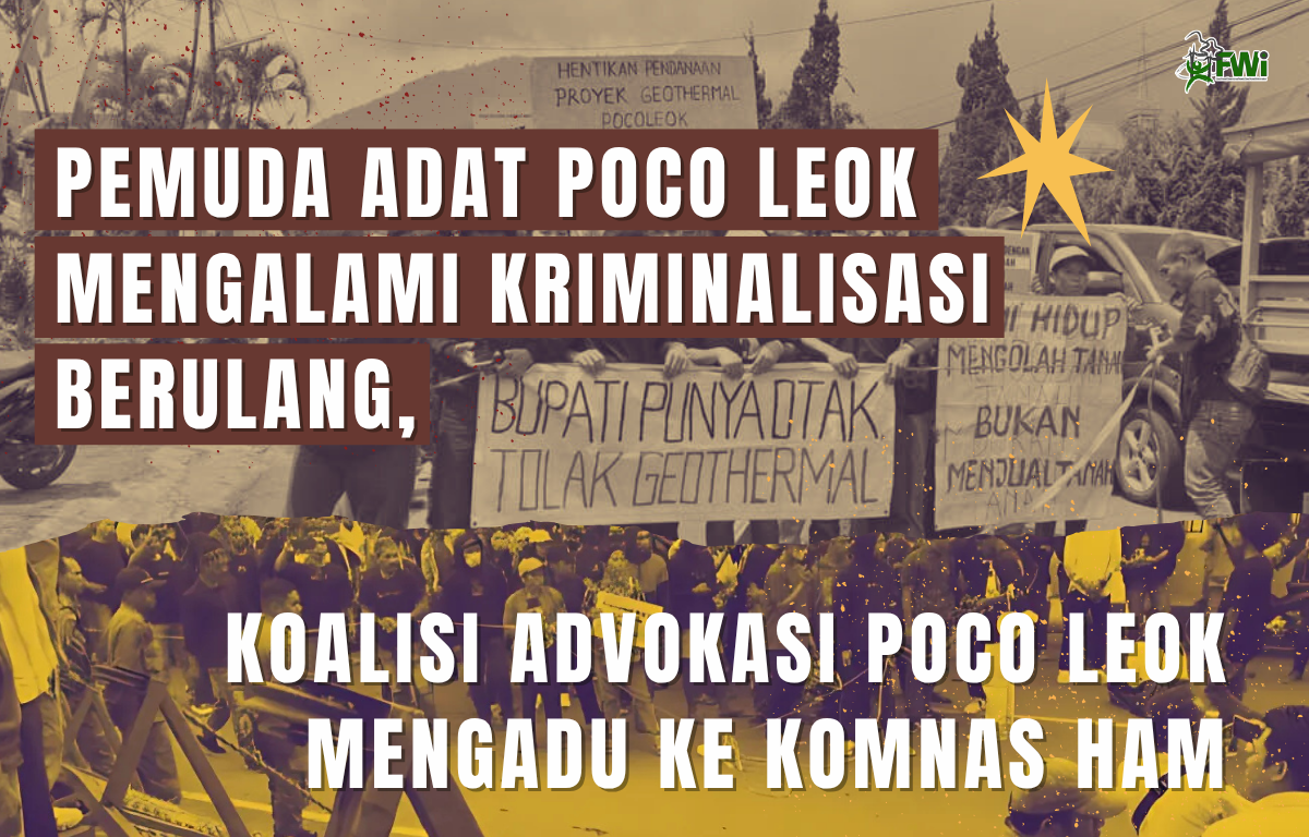 Pemuda adat