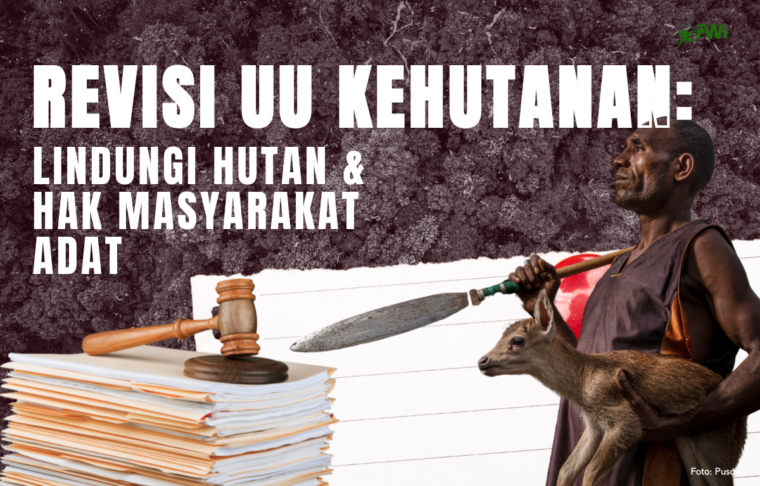 Revisi UU Kehutanan