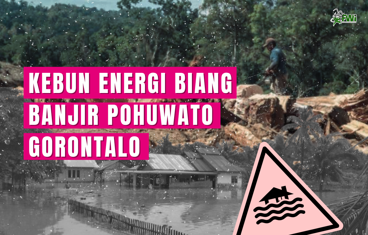 Pohuwato