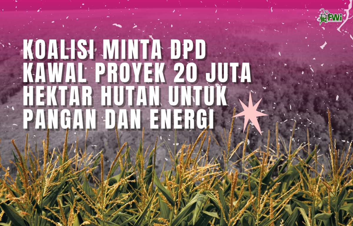 Hutan
