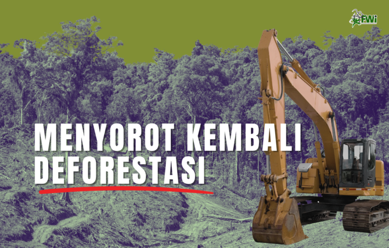Deforestasi