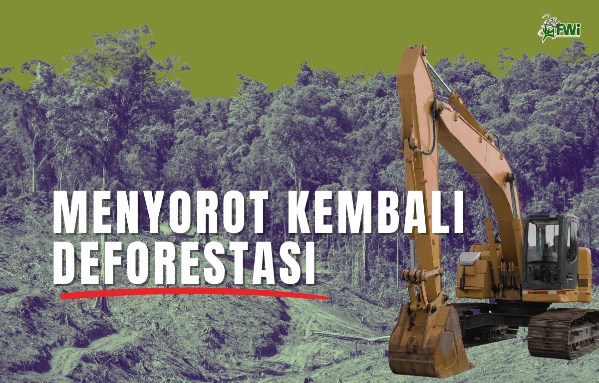 Deforestasi