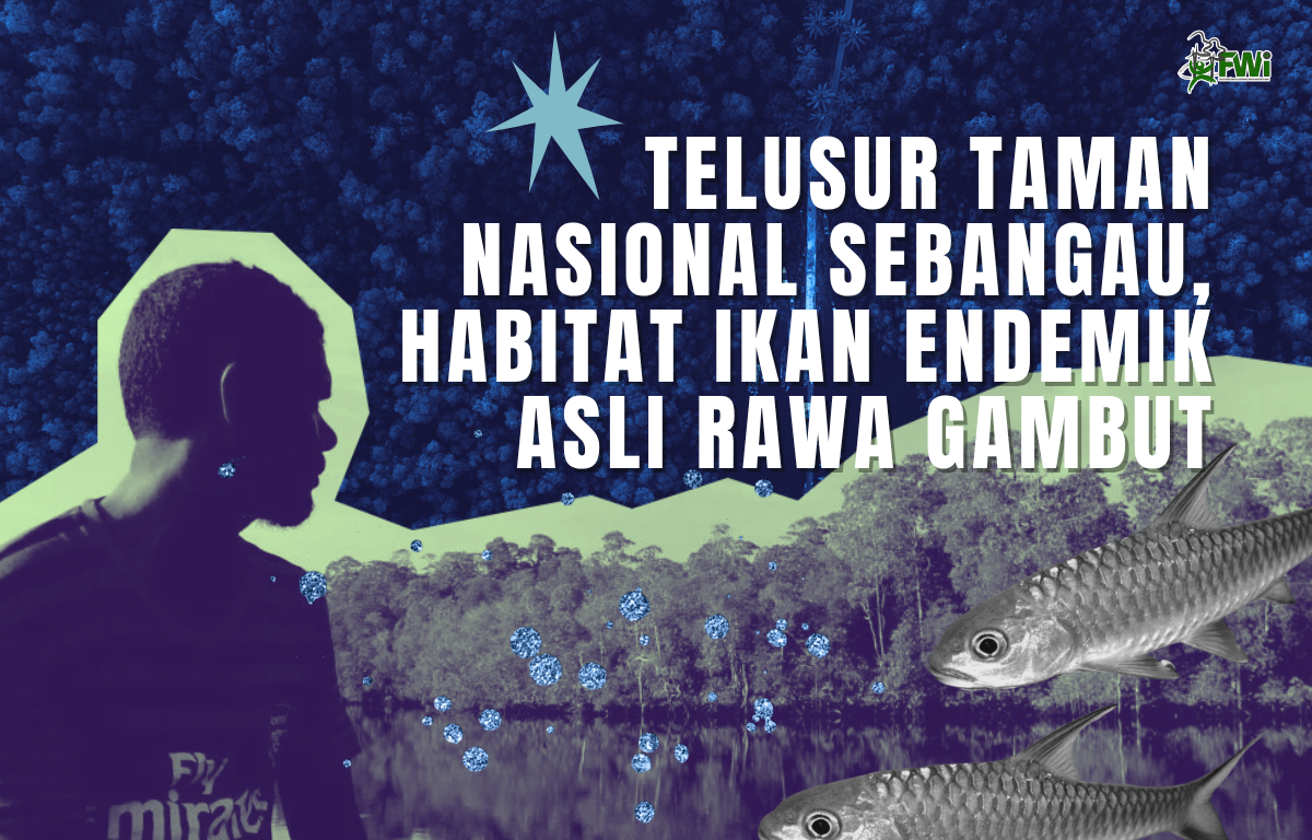 Sebangau