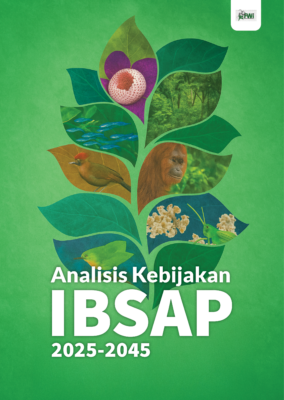 IBSAP