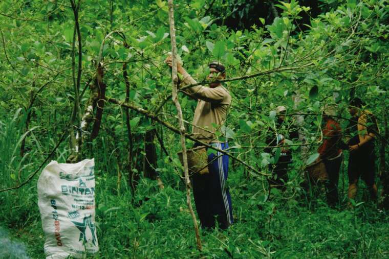 dari eksploitasi menuju restorasi