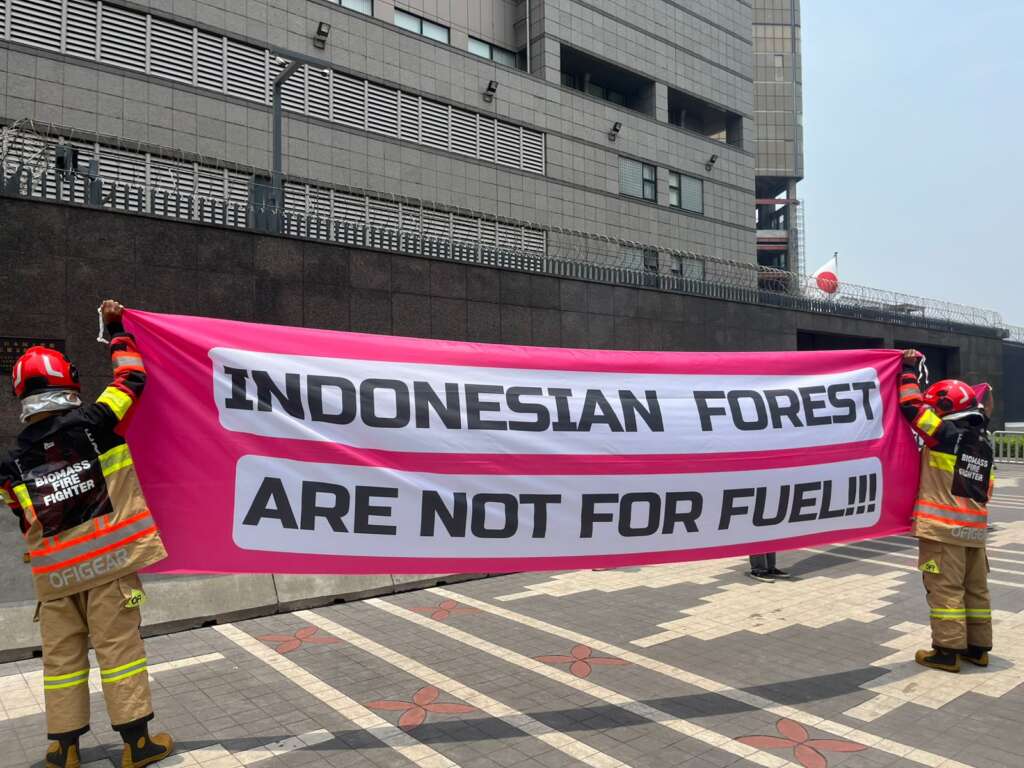 Aksi Damai Kedubes Jepang dan Korsel: Hentikan Deforestasi Indonesia akibat Ekspor Wood Pellet