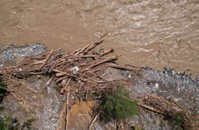 Deforestasi picu bencana di Aceh