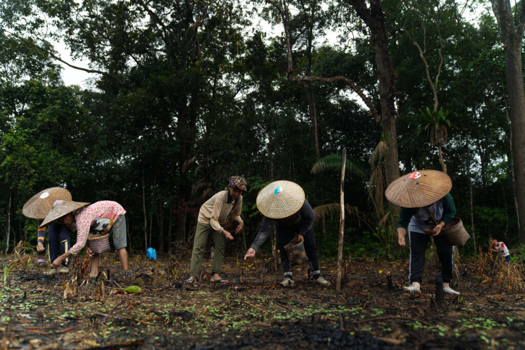 Masyarakat adat dayak iban kapuas hulu