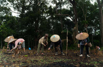 Masyarakat adat dayak iban kapuas hulu