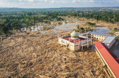 Jejak deforestasi dalam 4 dekade