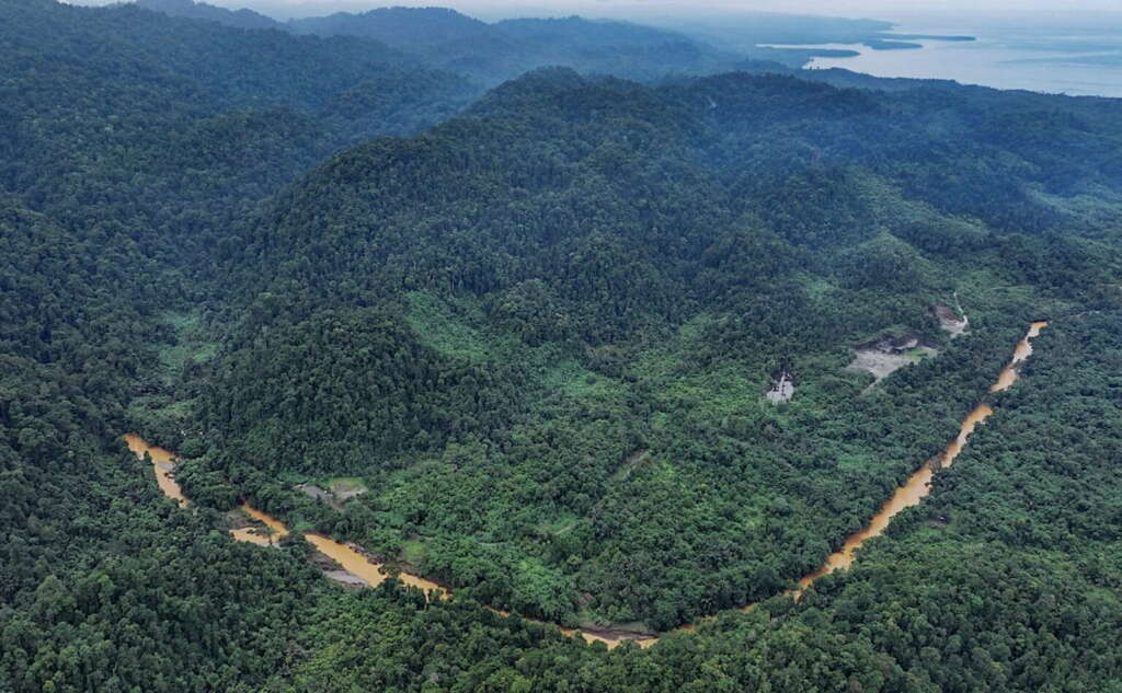 Foto udara di aliran sungai Sagea yang mengalami kekeruhan. Courtesy: Jatam Malut