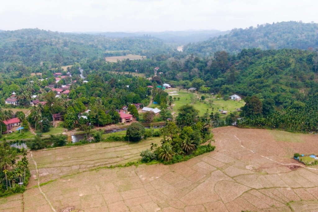 Hutan di Desa Lubuk Beringin, Kecamatan Bathin III Ulu, Kabupaten Bungo yang masuk wilayah intervensi BioCF. Foto: dok.FWI