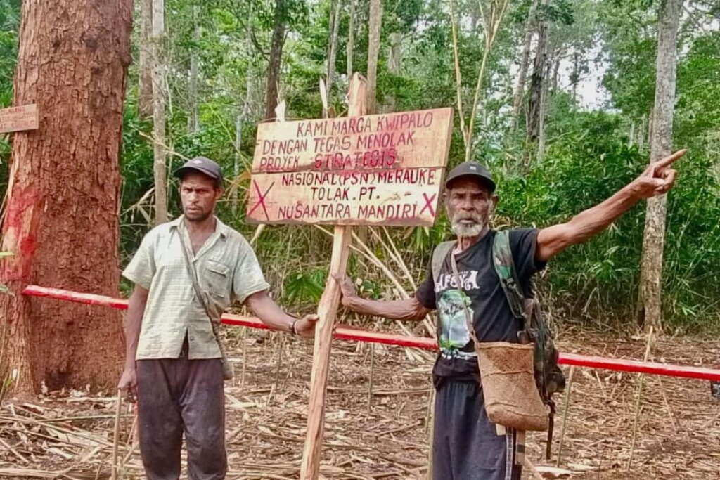 Hutan adat yang terancam proyek pangan dan energi dan masyarakat adat terus bertahan. Foto: Yayasan Pusaka