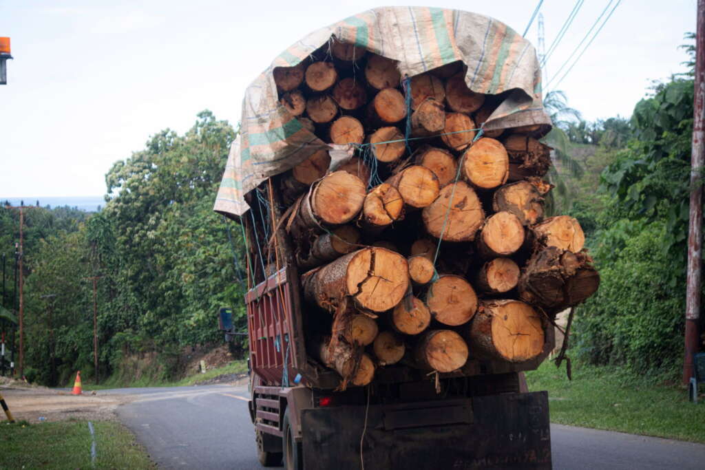 Sebuah truk milik PT GNJ mengangkut kayu dari hutan. Foto: Sarjan Lahay/Mongabay Indonesia.