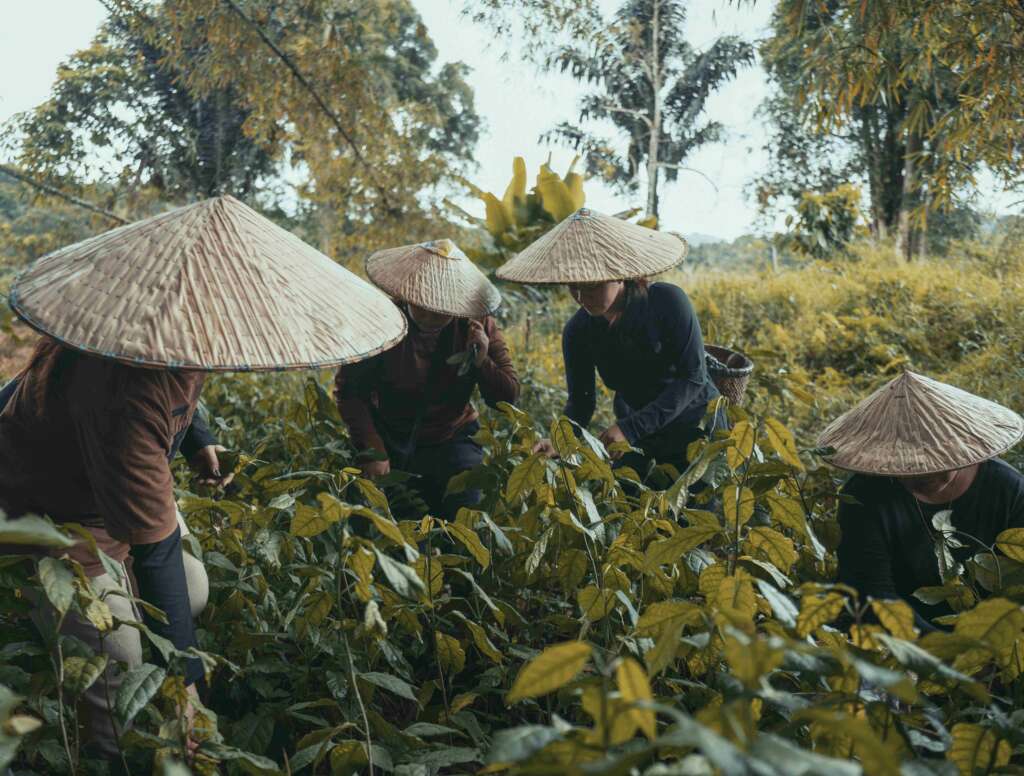 Potret Relasi Hutan dan Masyarakat adat